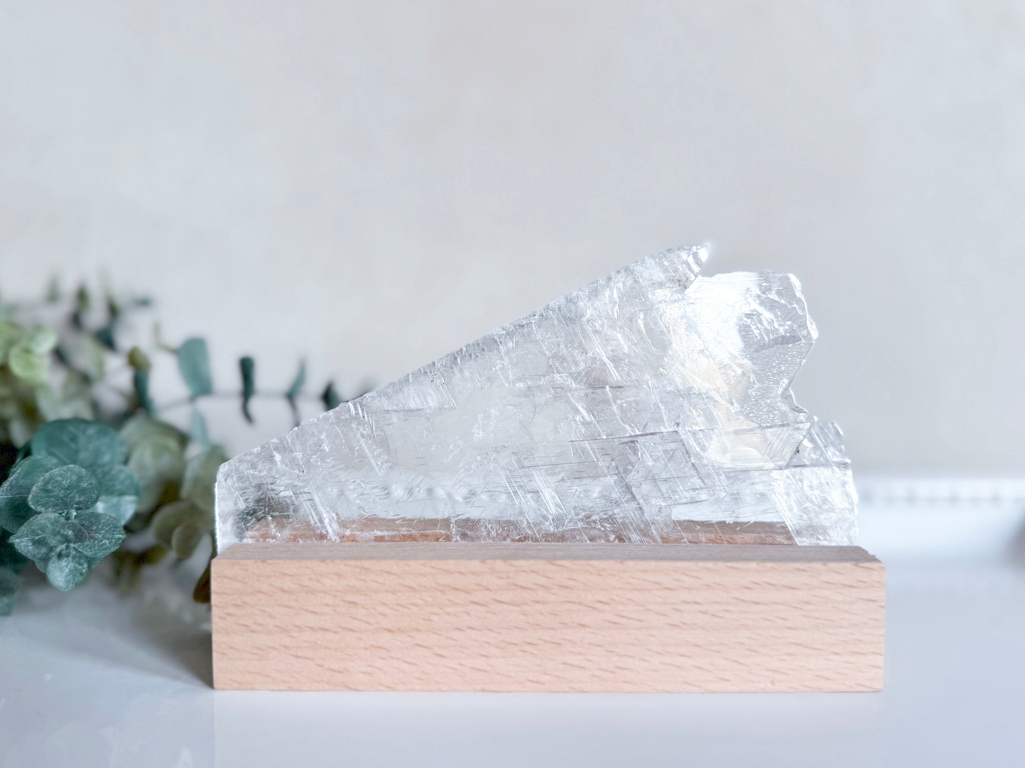 Raw Selenite Plate on Light Stand || White Light $33