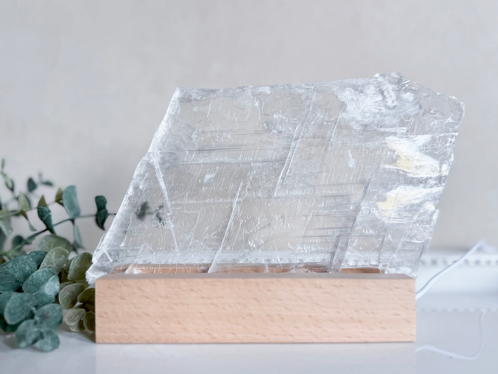 Raw Selenite Plate on Light Stand || White Light $55