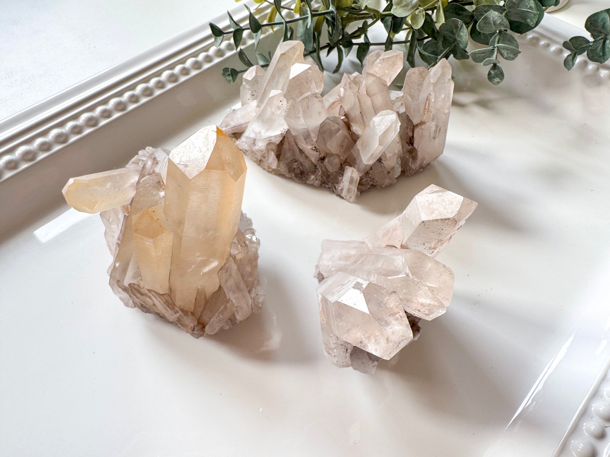 Raw Smoky Quartz Cluster || Brazil
