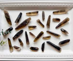 Raw Smoky Quartz Points