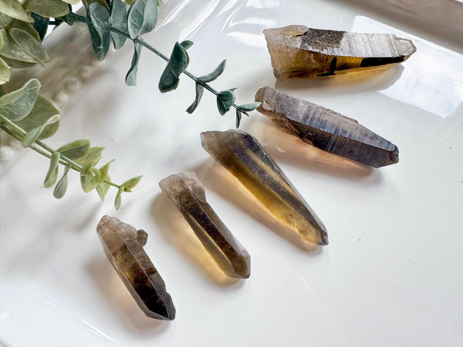 Raw Smoky Quartz Points