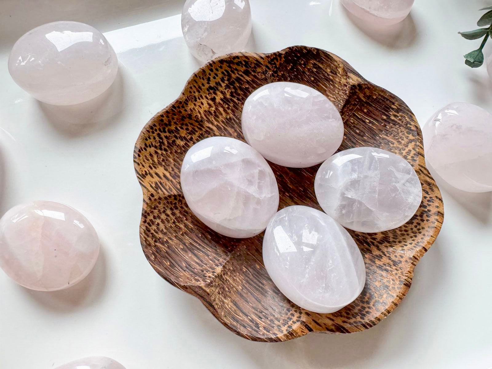 Rose Quartz Palm Stone || Brazil