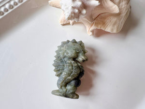 Seahorse Crystal Carving