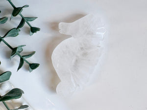 Seahorse Flat Crystal Carving
