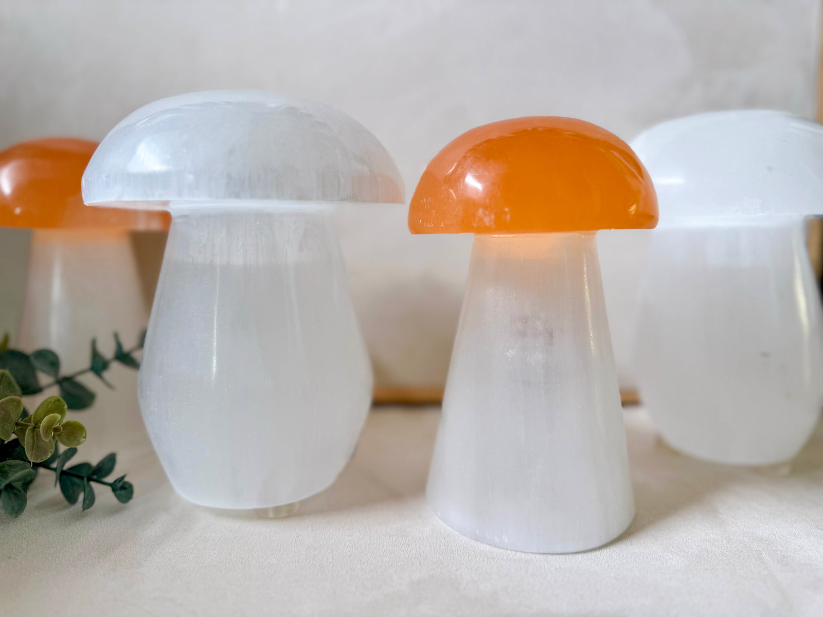 Selenite Mushroom Lamp