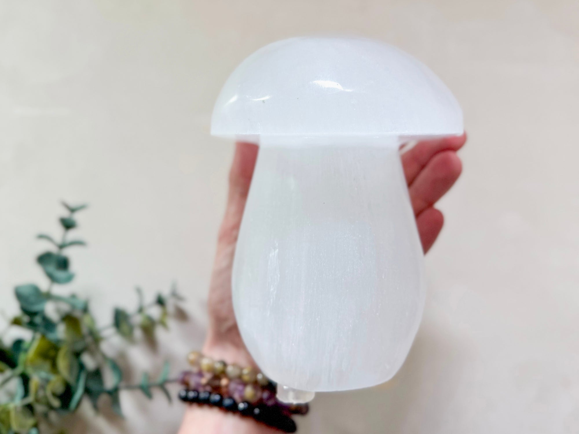 Selenite Mushroom Lamp