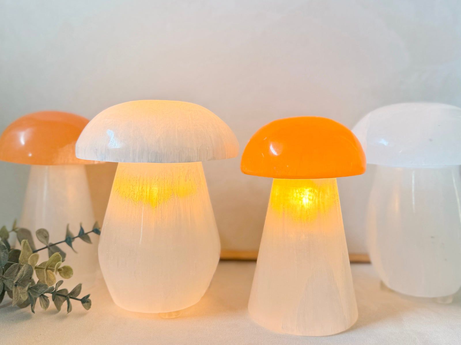 Selenite Mushroom Lamp