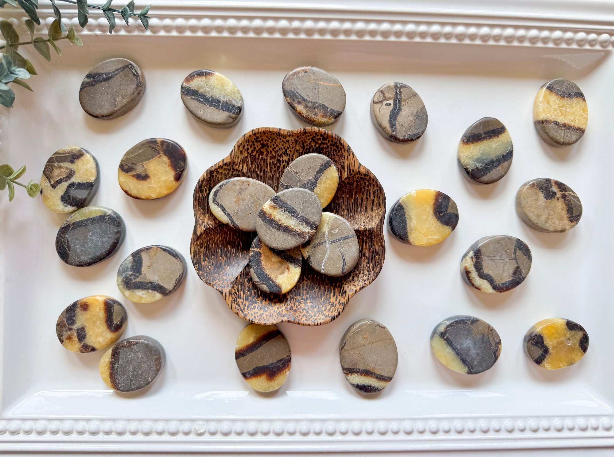Septarian Flat Palm Stone
