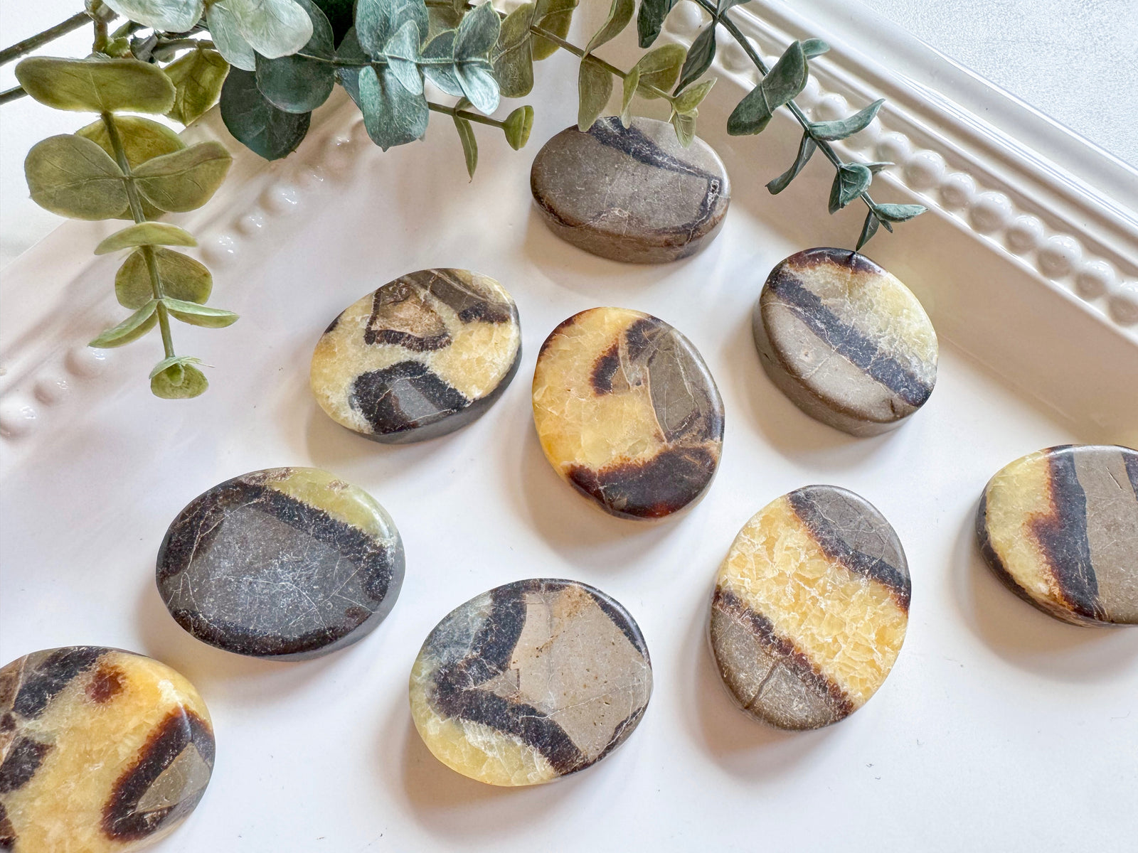 Septarian Flat Palm Stone
