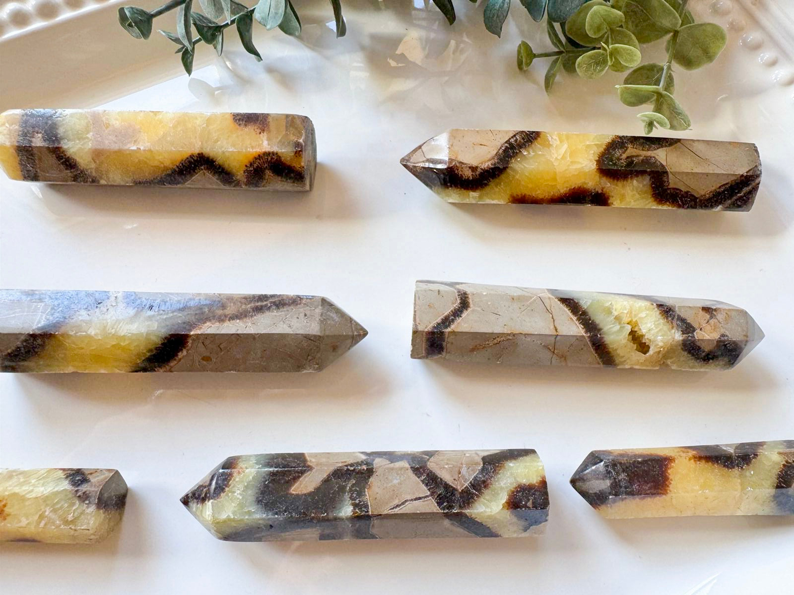 Septarian Points