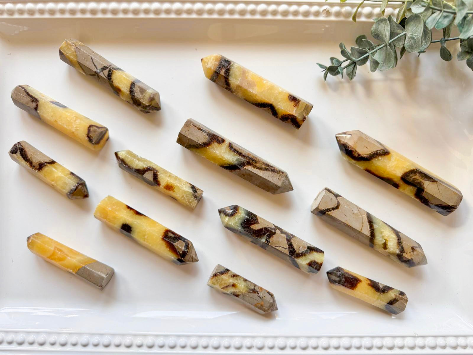 Septarian Points