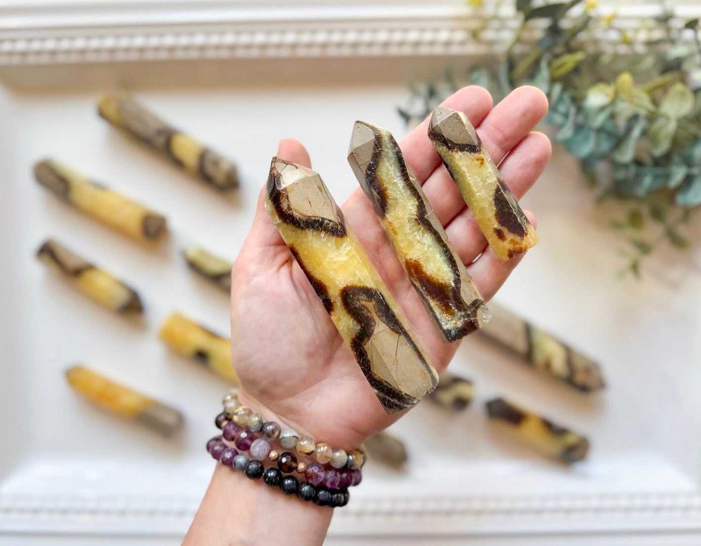 Septarian Points