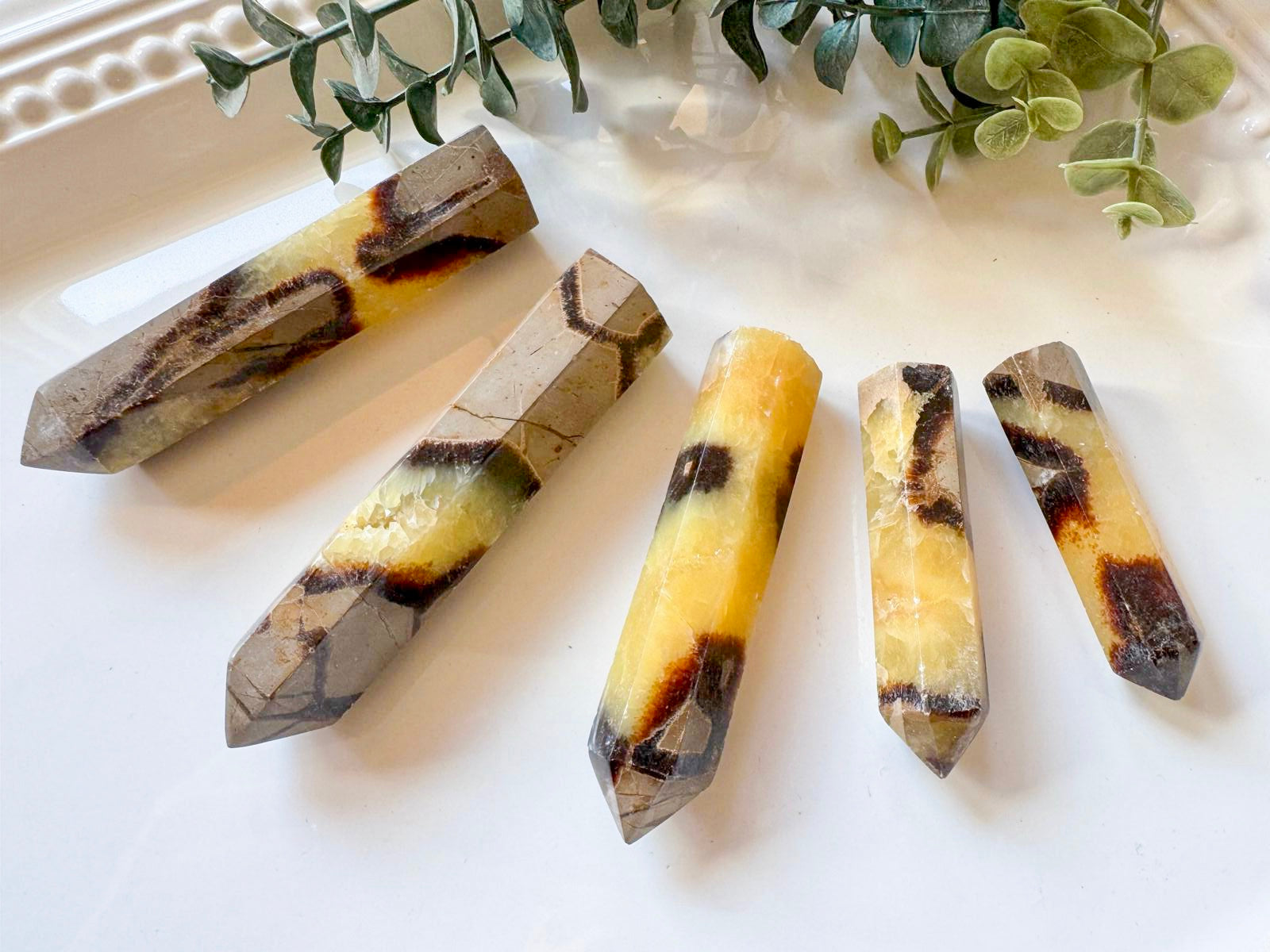 Septarian Points