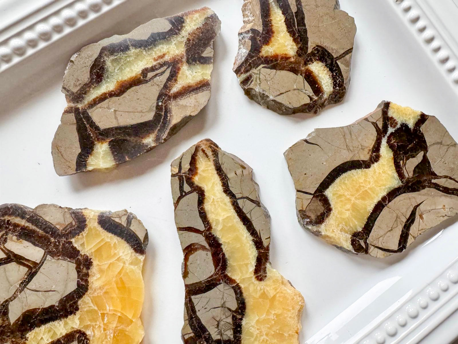 Septarian Slab