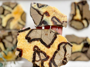 Septarian Slab