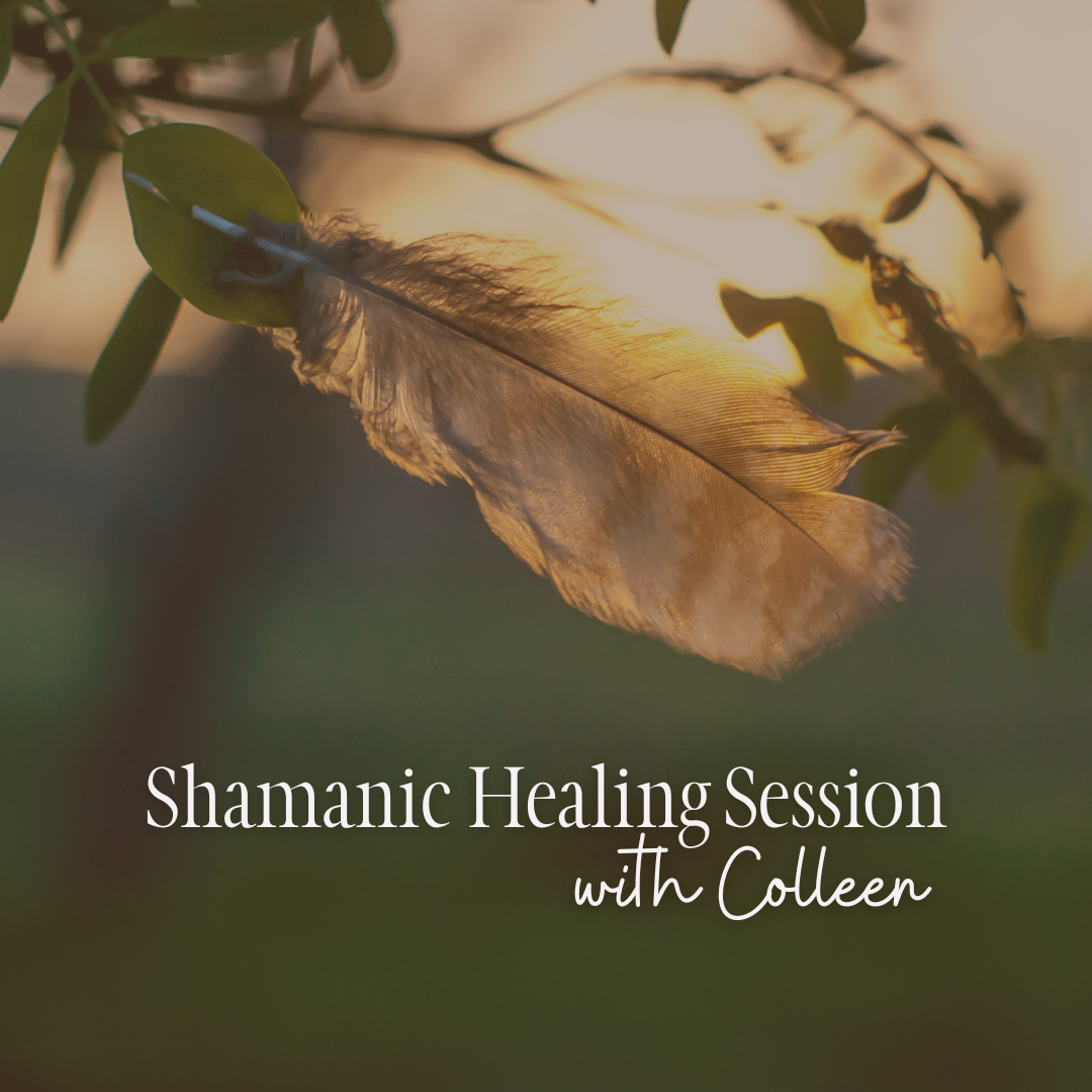 Shamanic Healing Session with Colleen