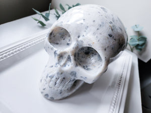 White Labradorite Skull || India