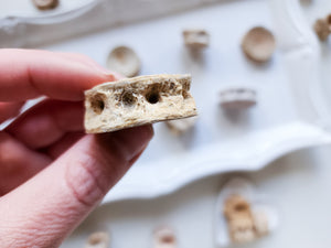 Fossilized Shark Vertebrae - Morocco