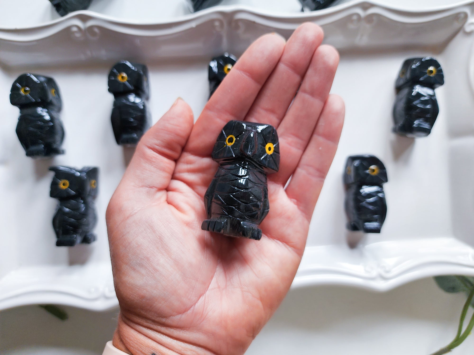 Onyx Owl