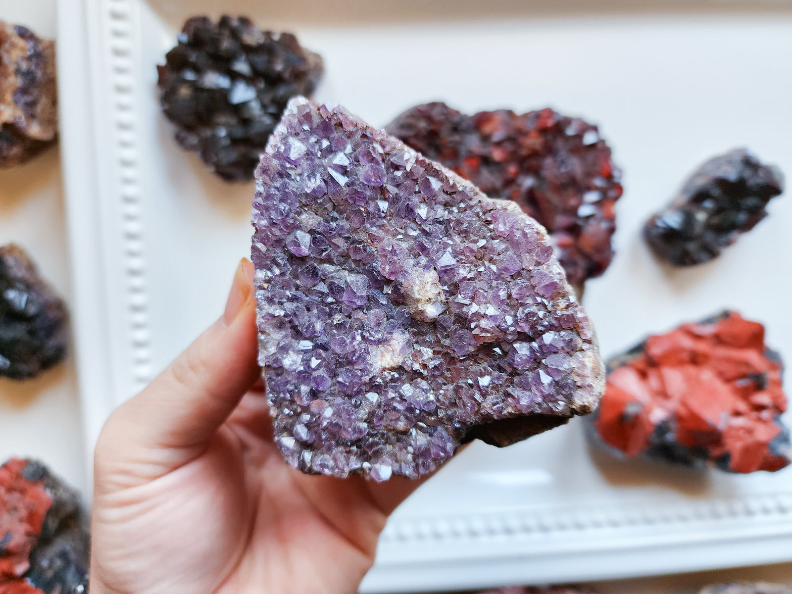 Hematite Included Amethyst Elestials || Hyderabad, India