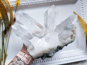 Himalayan Cathedral Quartz with Chlorite Rutile & Anatase || Rare