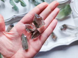 Garden Quartz (Lodolite) Point || Premimum Grade