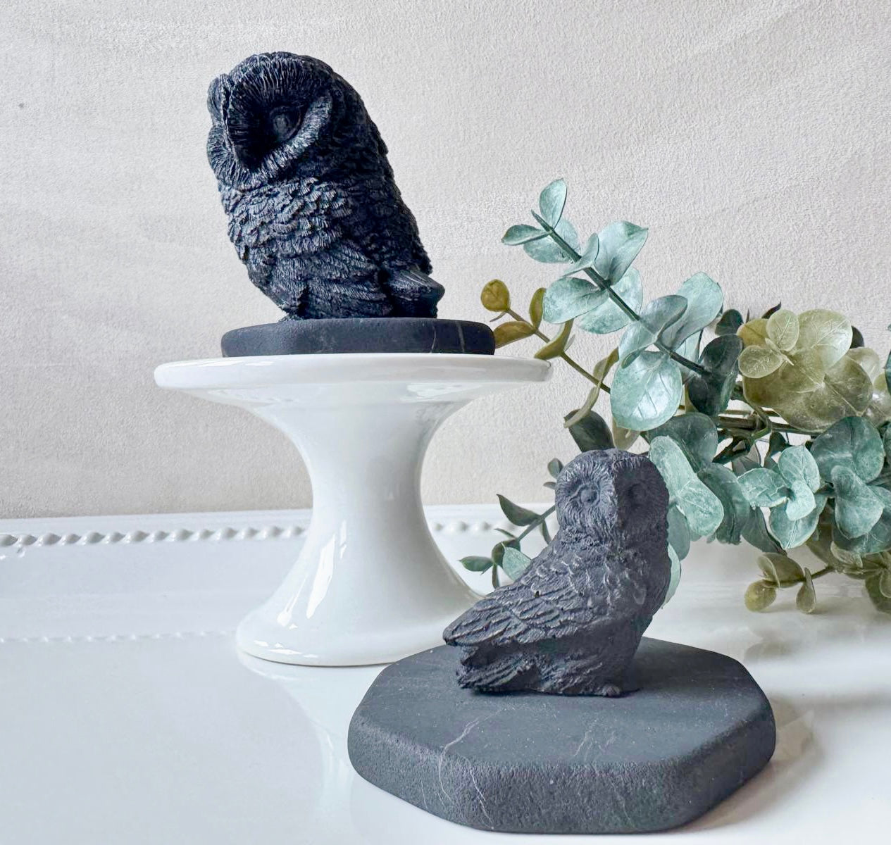 Shungite Barn Owl