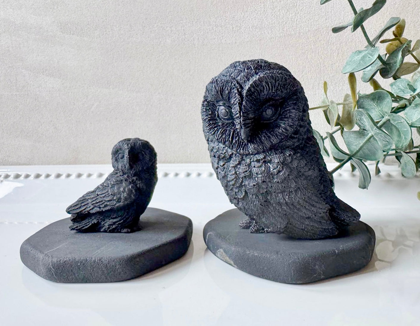 Shungite Barn Owl