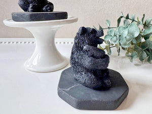 Shungite Bear with Fish