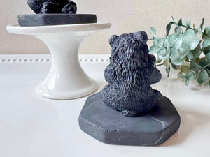 Shungite Bear with Fish