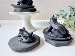 Shungite Frog