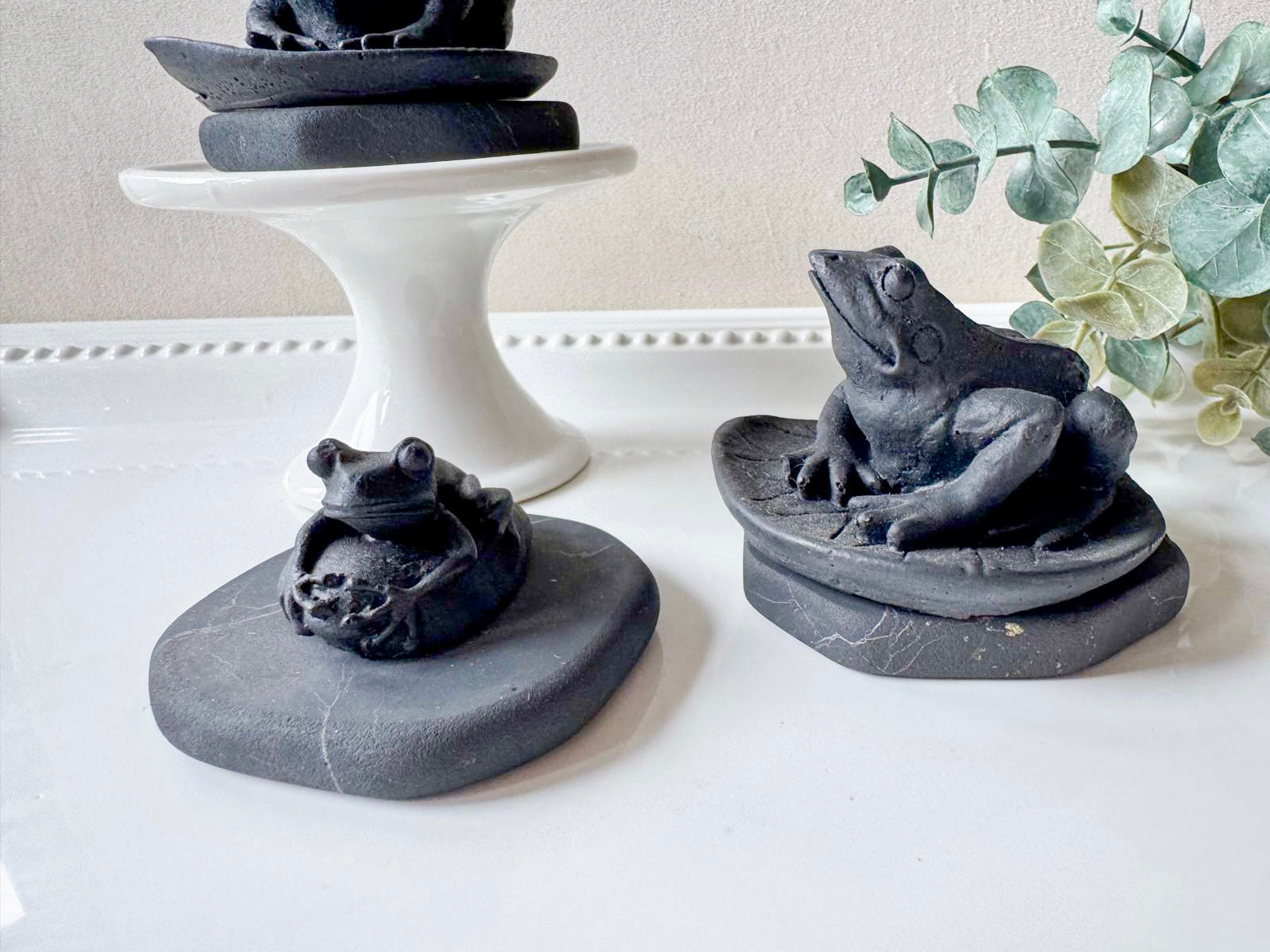 Shungite Frog