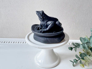 Shungite Frog