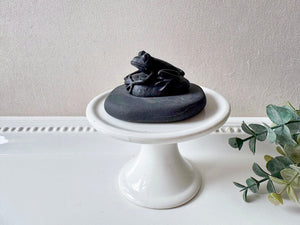 Shungite Frog