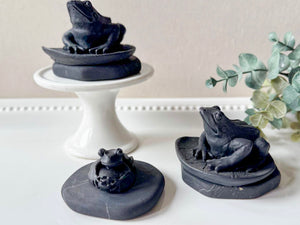 Shungite Frog