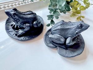 Shungite Frog on Lily Pad
