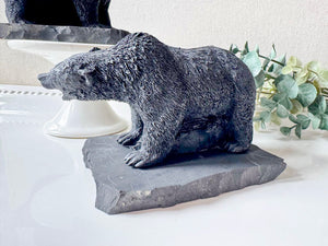 Shungite Grizzly Bear