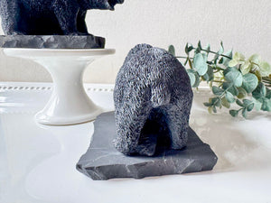 Shungite Grizzly Bear