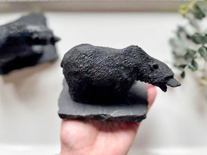 Shungite Grizzly Bear