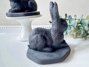 Shungite Rabbit