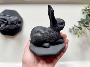 Shungite Rabbit