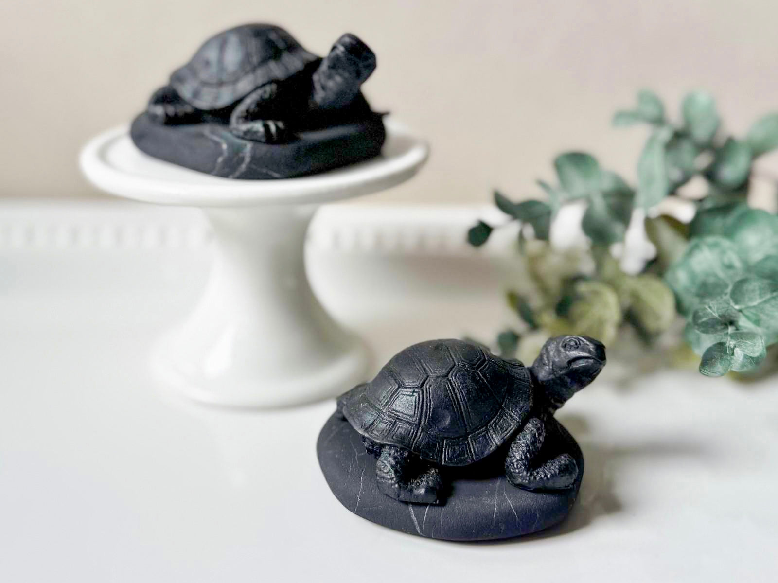 Shungite Turtle