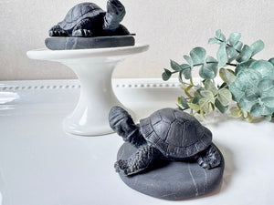Shungite Turtle
