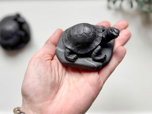 Shungite Turtle