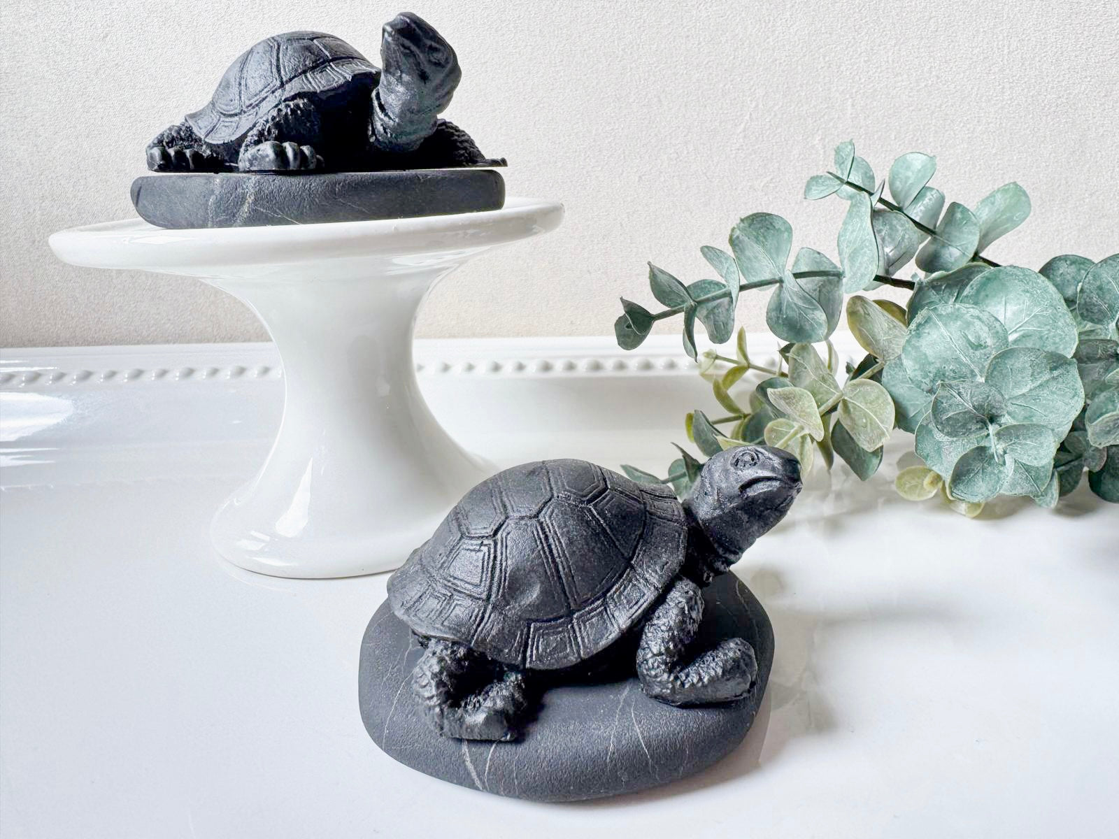 Shungite Turtle