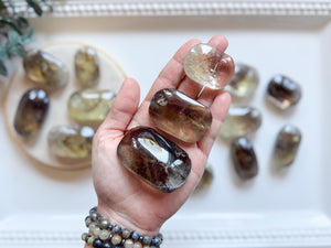 Smoky Citrine Palm Stone