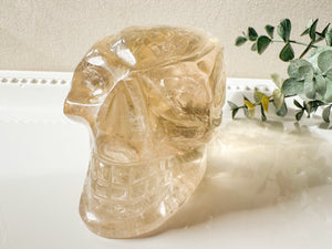Smoky Citrine Traveler Skull || Brazil || Showpiece