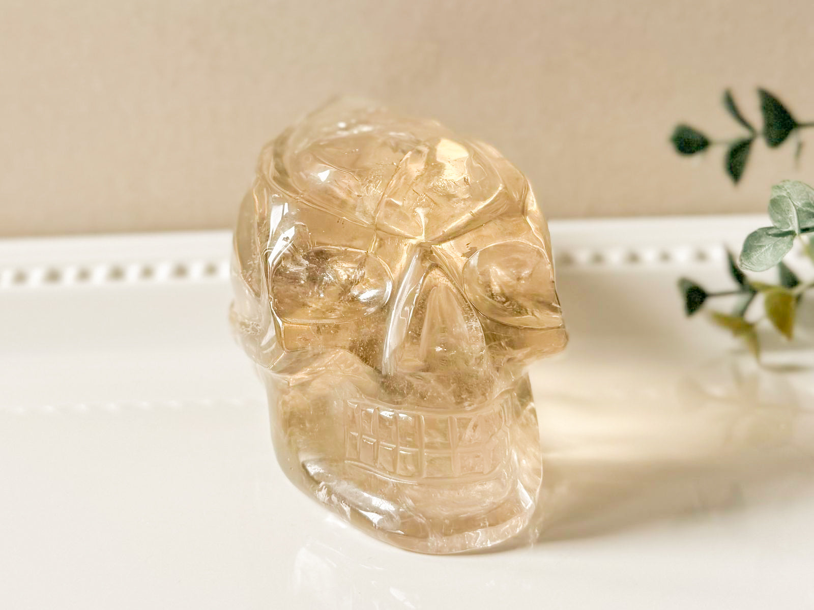 Smoky Citrine Traveler Skull || Brazil || Showpiece