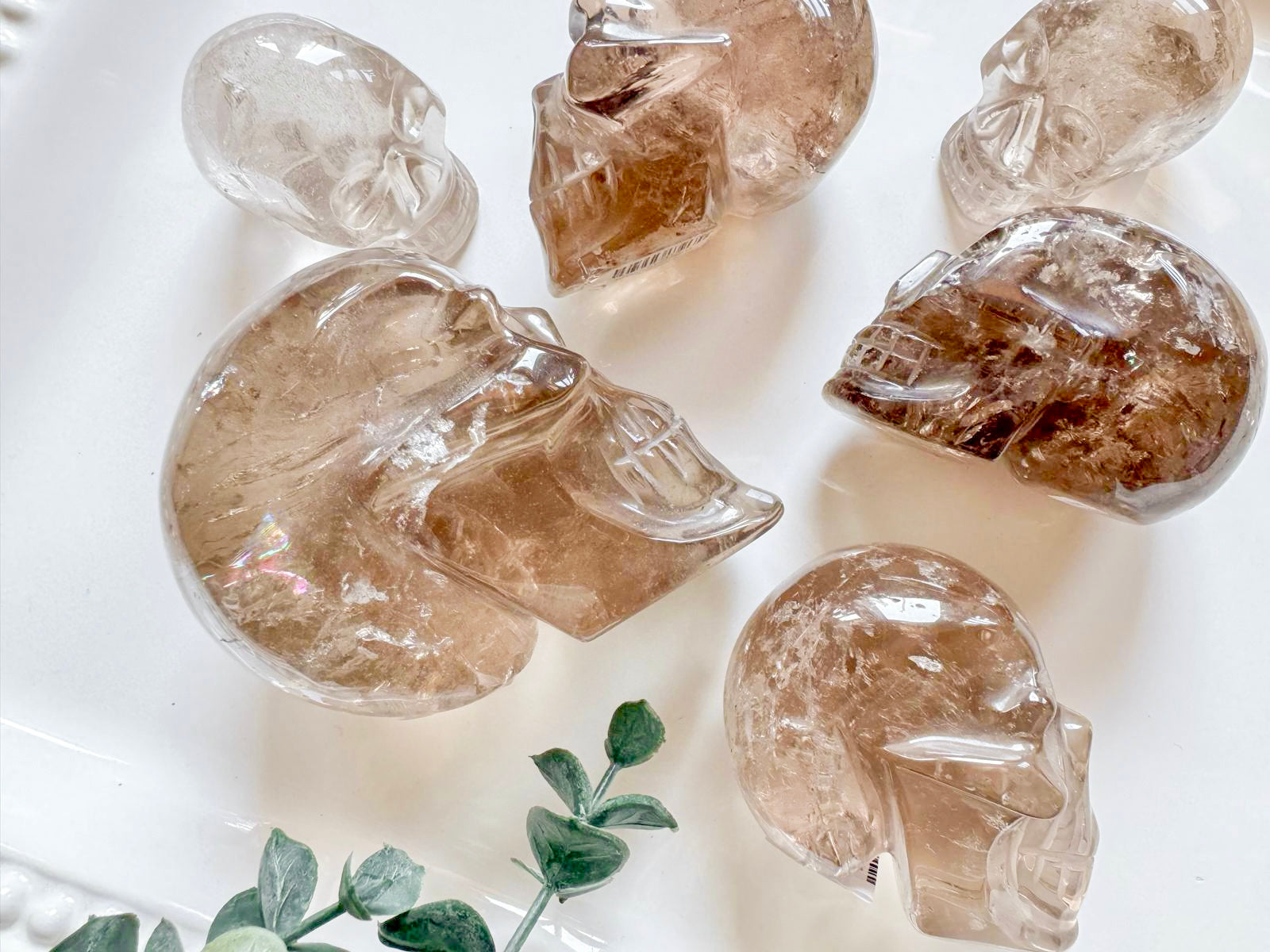 Smoky Quartz Skull || Brazil