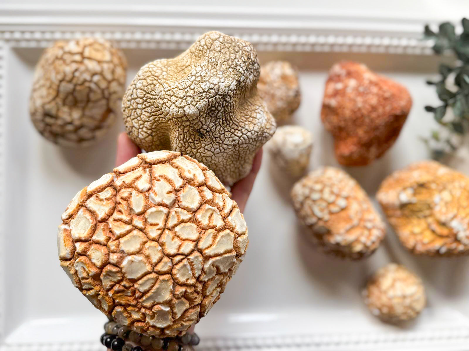 Snakeskin Agate Raw Stone